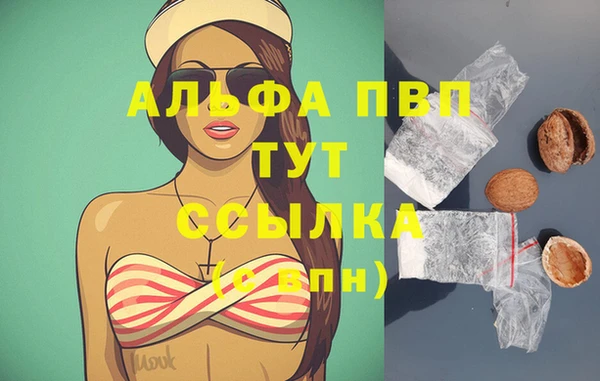 стаф Медногорск