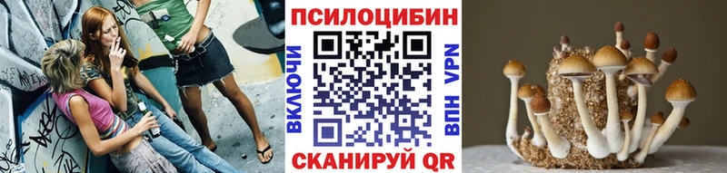 Галлюциногенные грибы Psilocybine cubensis  Спасск 